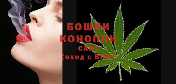 сатива Переславль-Залесский