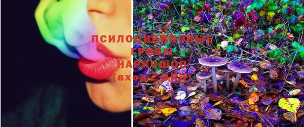 кокс Осинники
