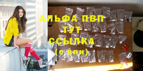 ECSTASY Пестово