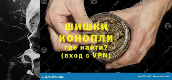 сатива Переславль-Залесский